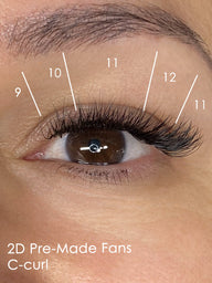 2D Pre Made Lash Fans on Model with Lash Mapping Details