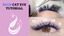 Blue (Colorful) Eyelash Extensions | Full Mega Volume Lash Tutorial