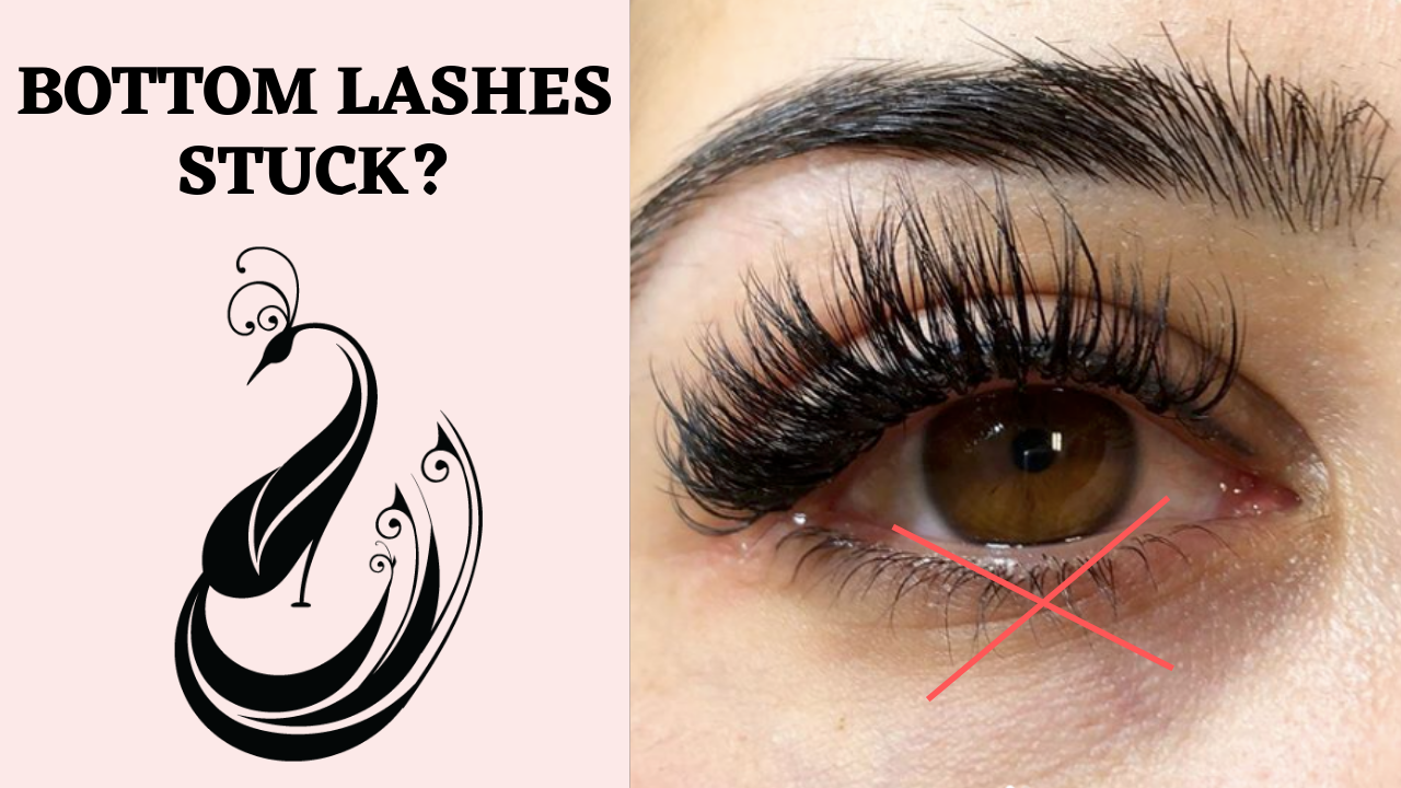 What to Do When Eyelash Extensions Get Stuck to the Bottom Eyelashes