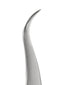 Pro Tweezer / S-2 / Curved For Volume