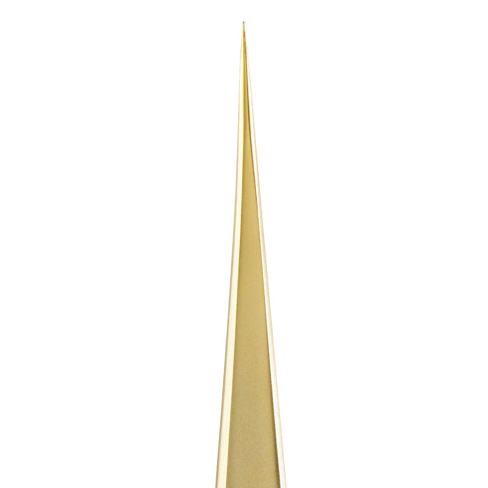 Eyelash Extension A1 pro gold straight tweezer tip detail