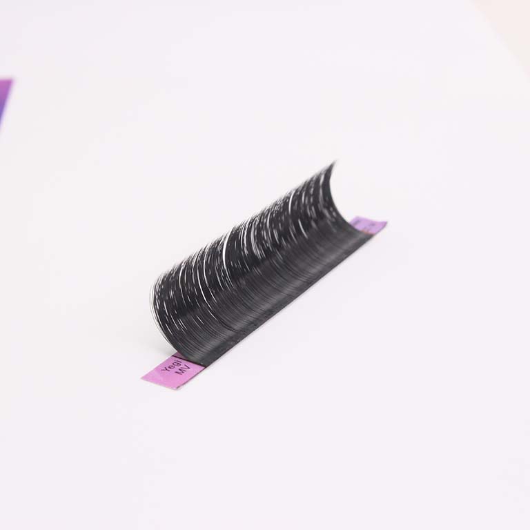 Mega Volume Eyelash Extensions strip of lashes from tray.