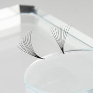 lash pad with eyelash extension fans